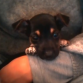 ARWEN